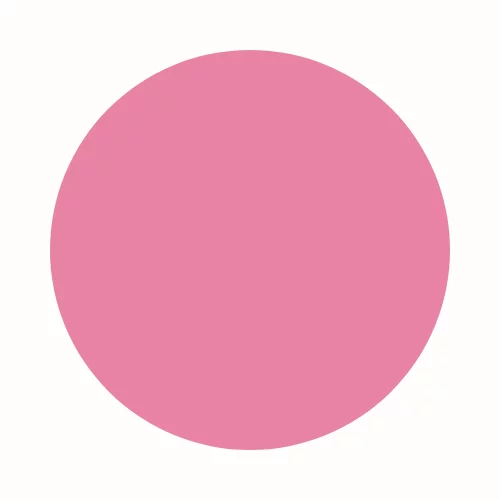 Petunia (275)
