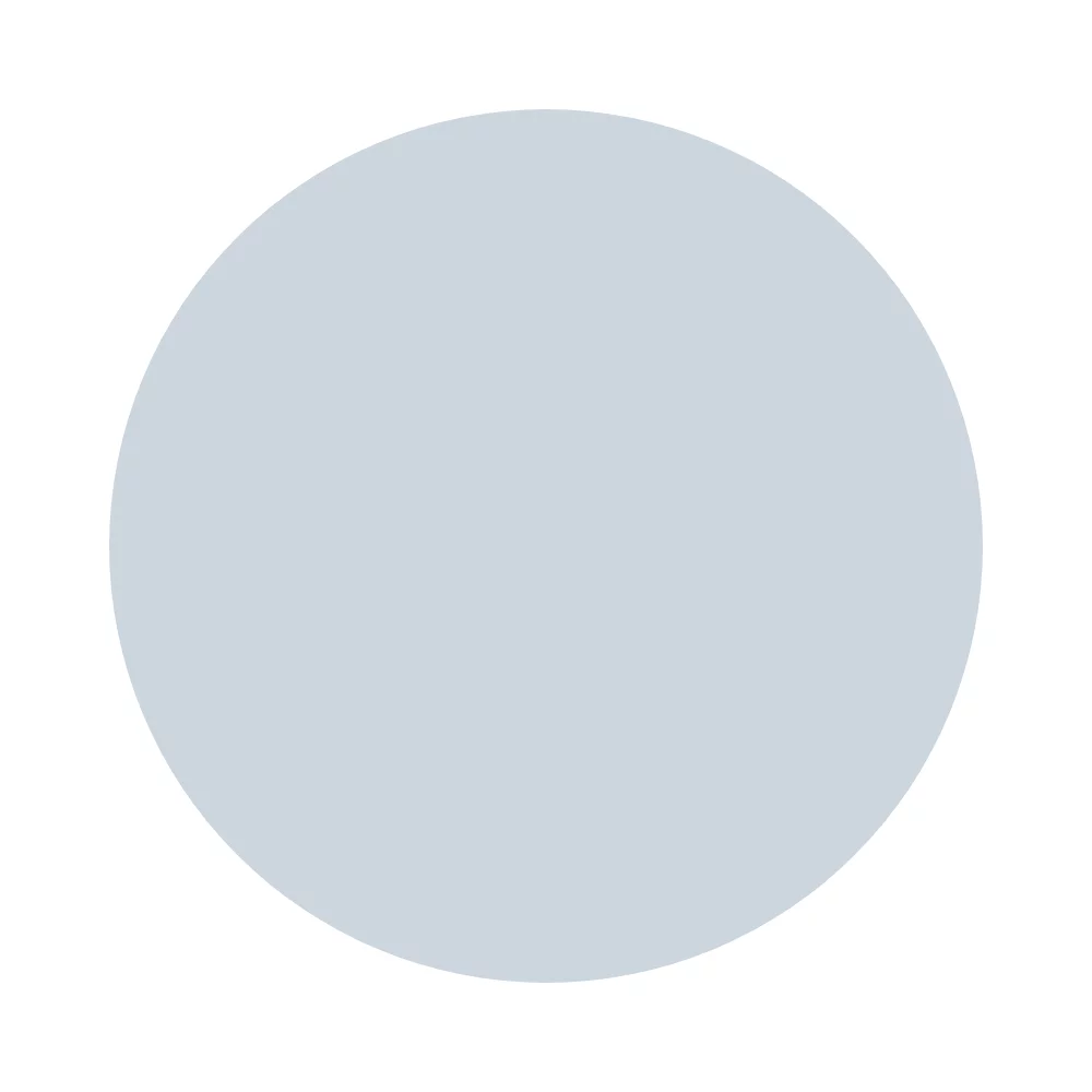 Silver (038)