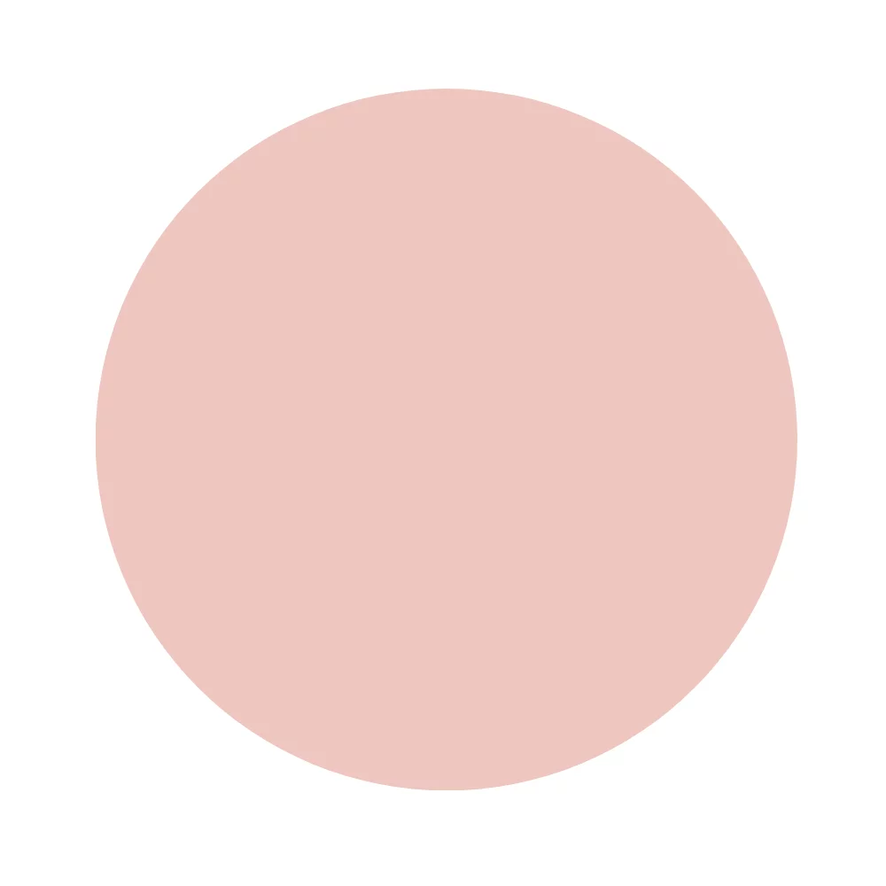Rose Shell (162)