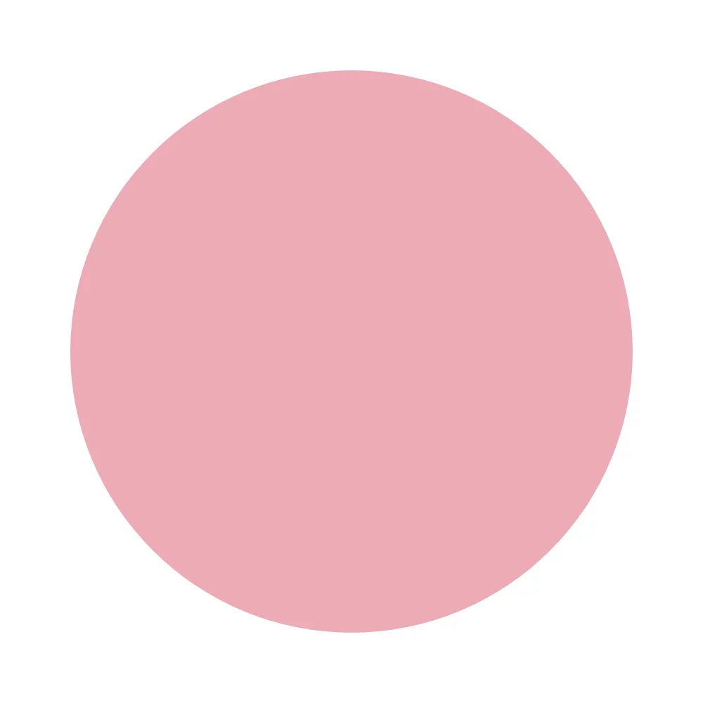 Pink Boudoir (112)