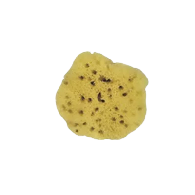 Naturschwamm ca. 10cm 