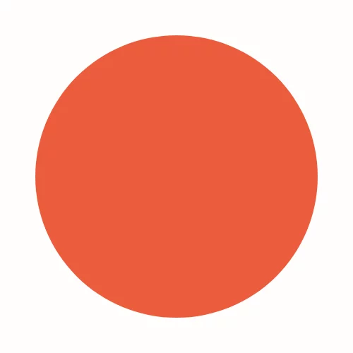 Smily orange (277)