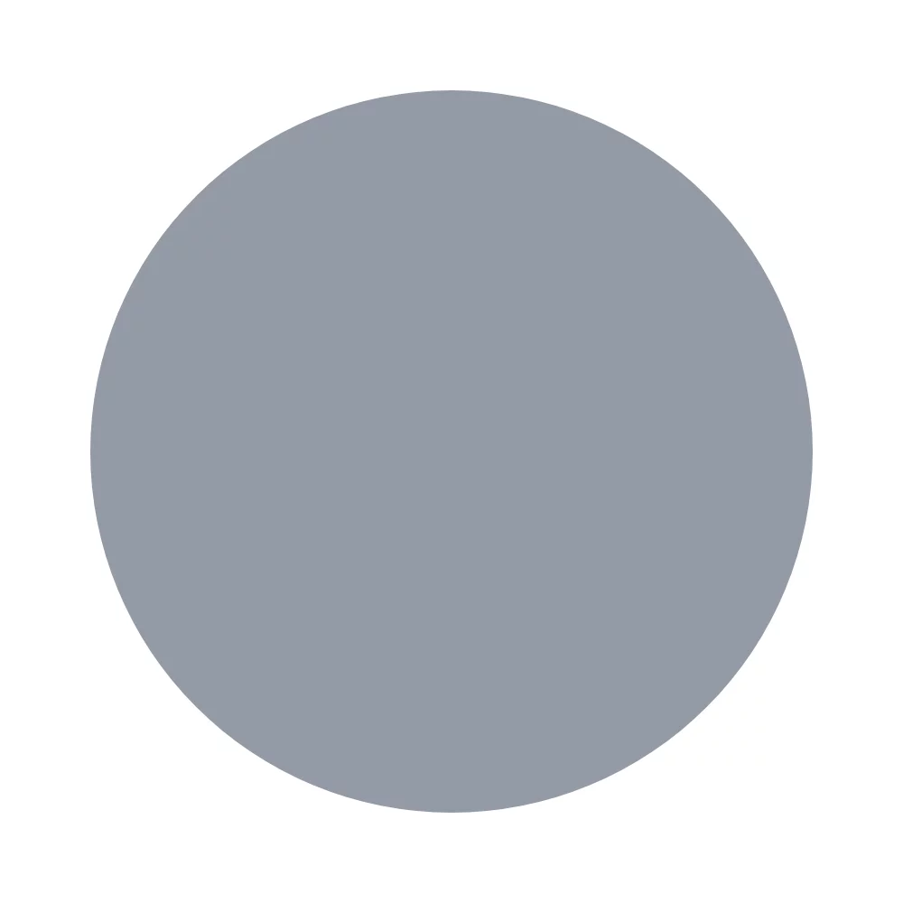 Sparkling Silver (229)