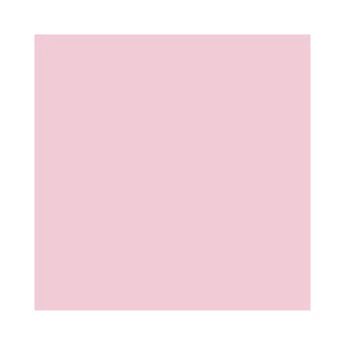 Ballerine Rose (03)
