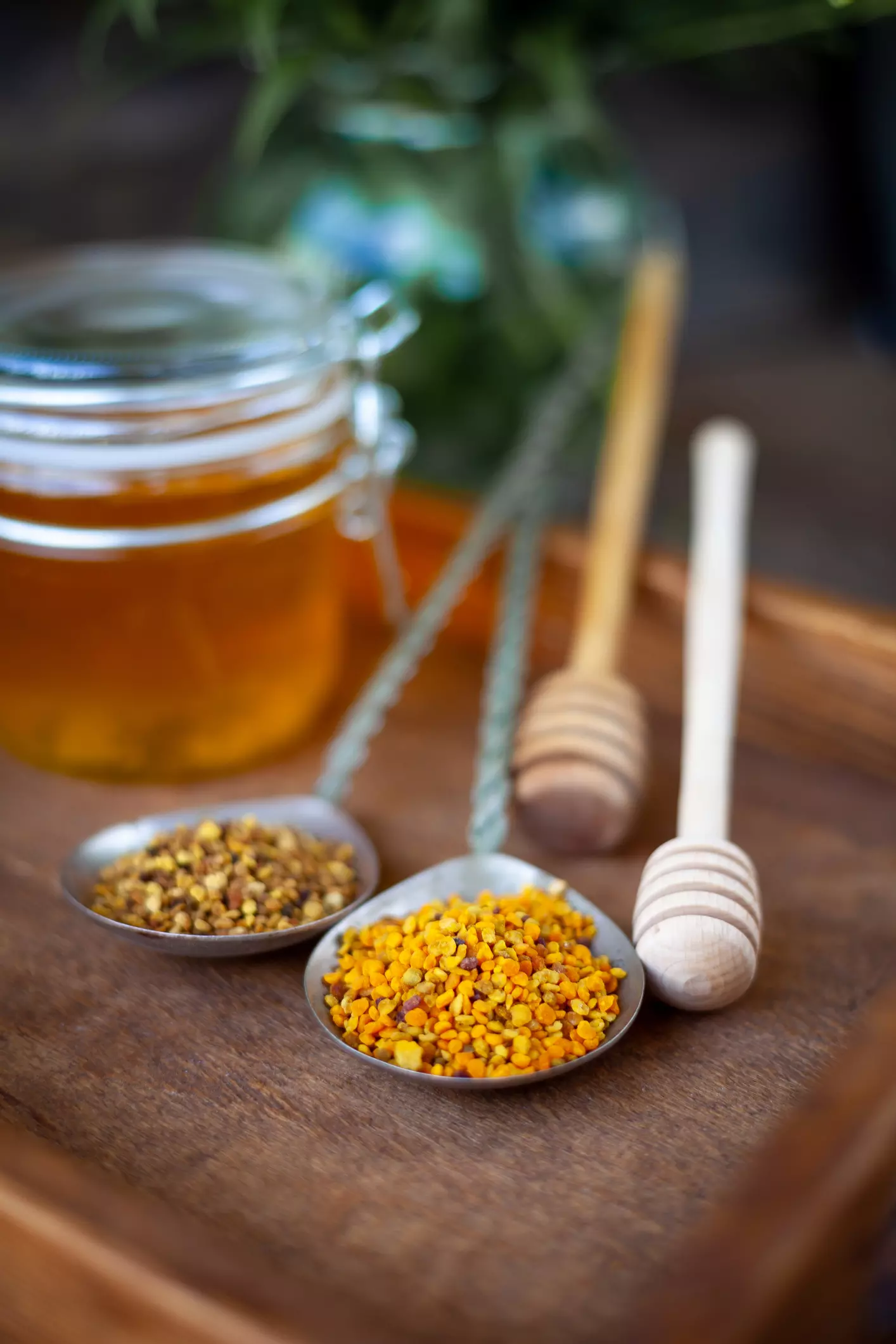 Vitalstoffe & Propolis