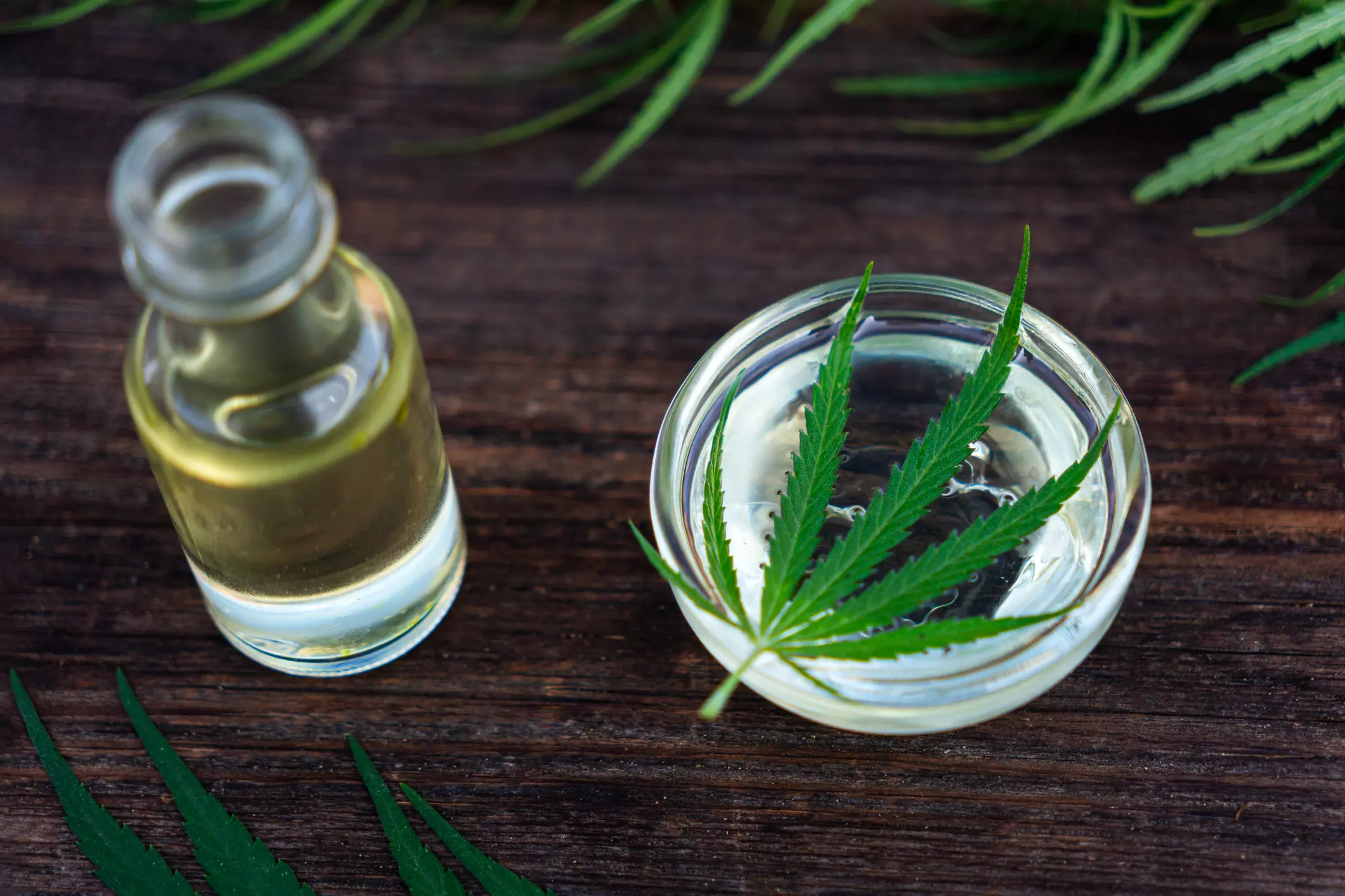 CBD & Hanfprodukte