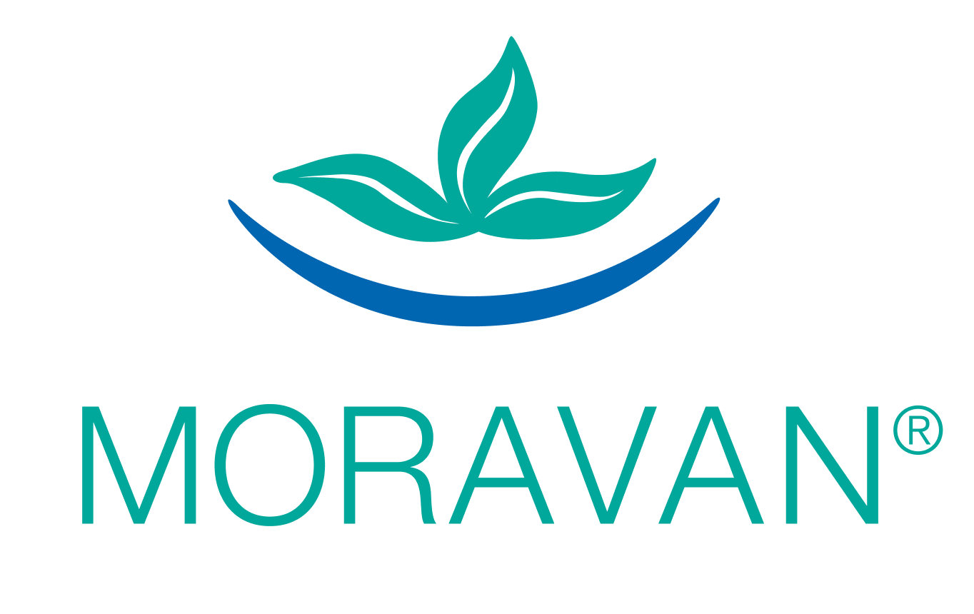 Zur Startseite gehen