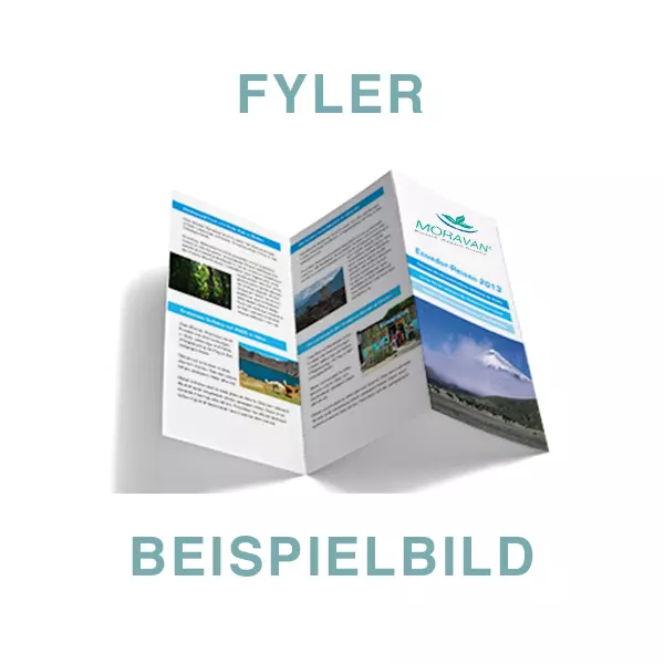 Flyer Aura-Spray Energetische Abwehrstärkung