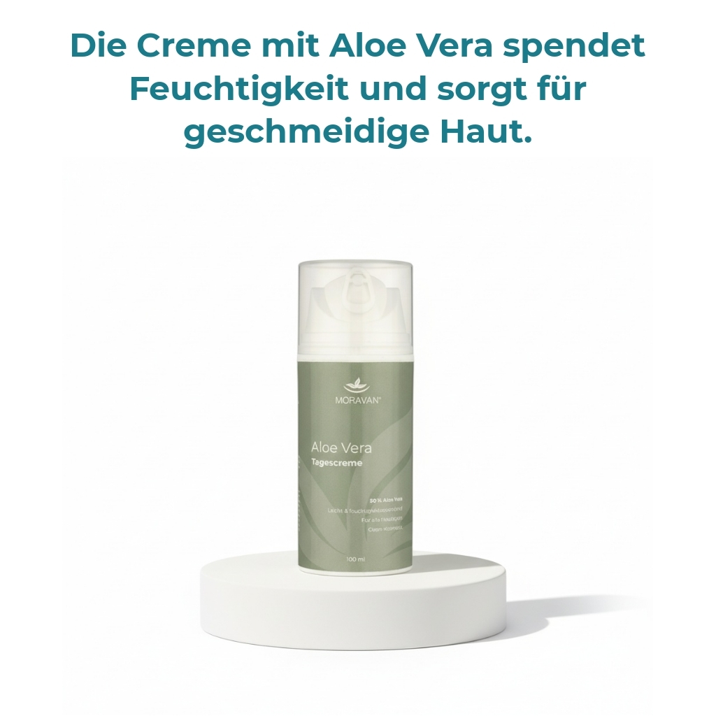 gallery_slider_title_5 gallery_slider_5